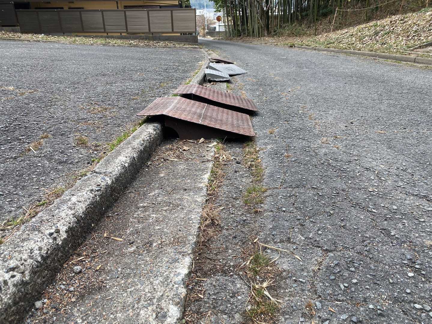 城山 往復コースの写真