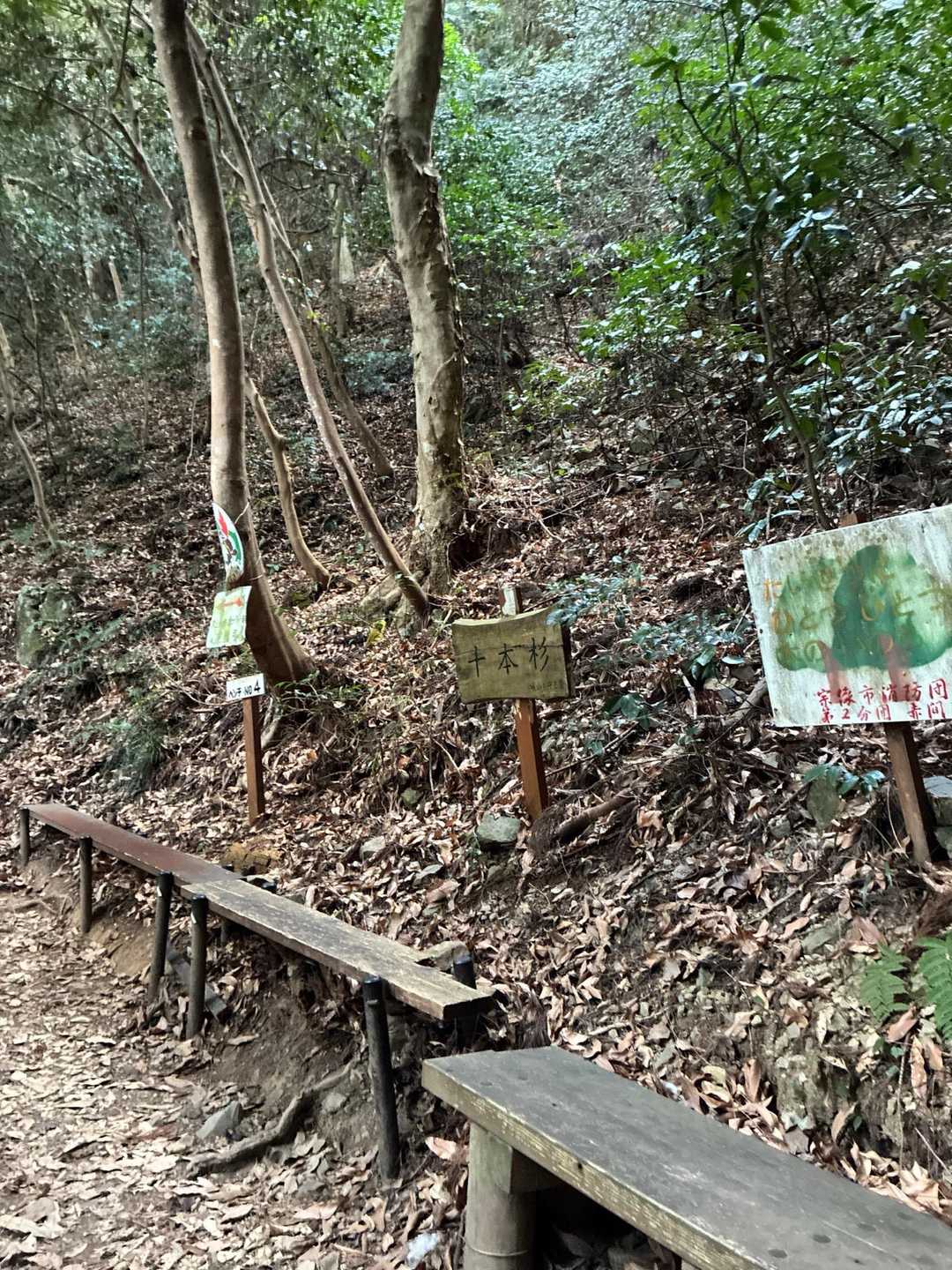 赤間登山口-城山-石峠-金山南岳 往復コースの写真