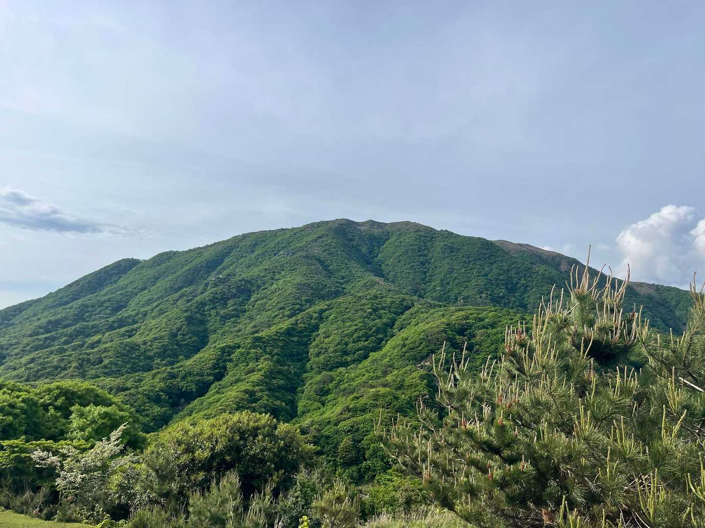 竜ヶ岳