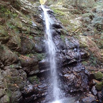 本堂から裏手に進むと
まもなく　一の滝