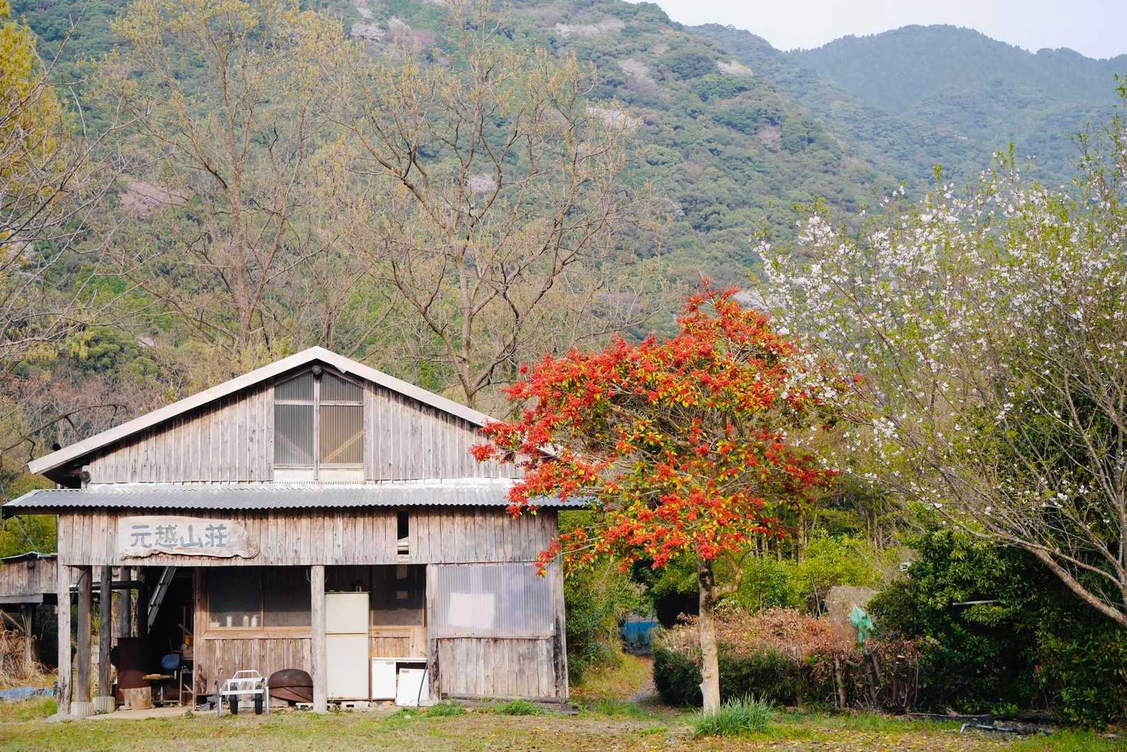 色利登山口からスタート

山を彩るパステルカラーの山桜