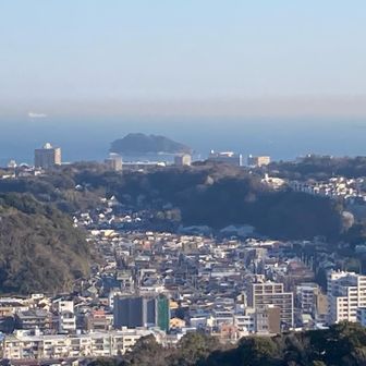 猿島が見えた。