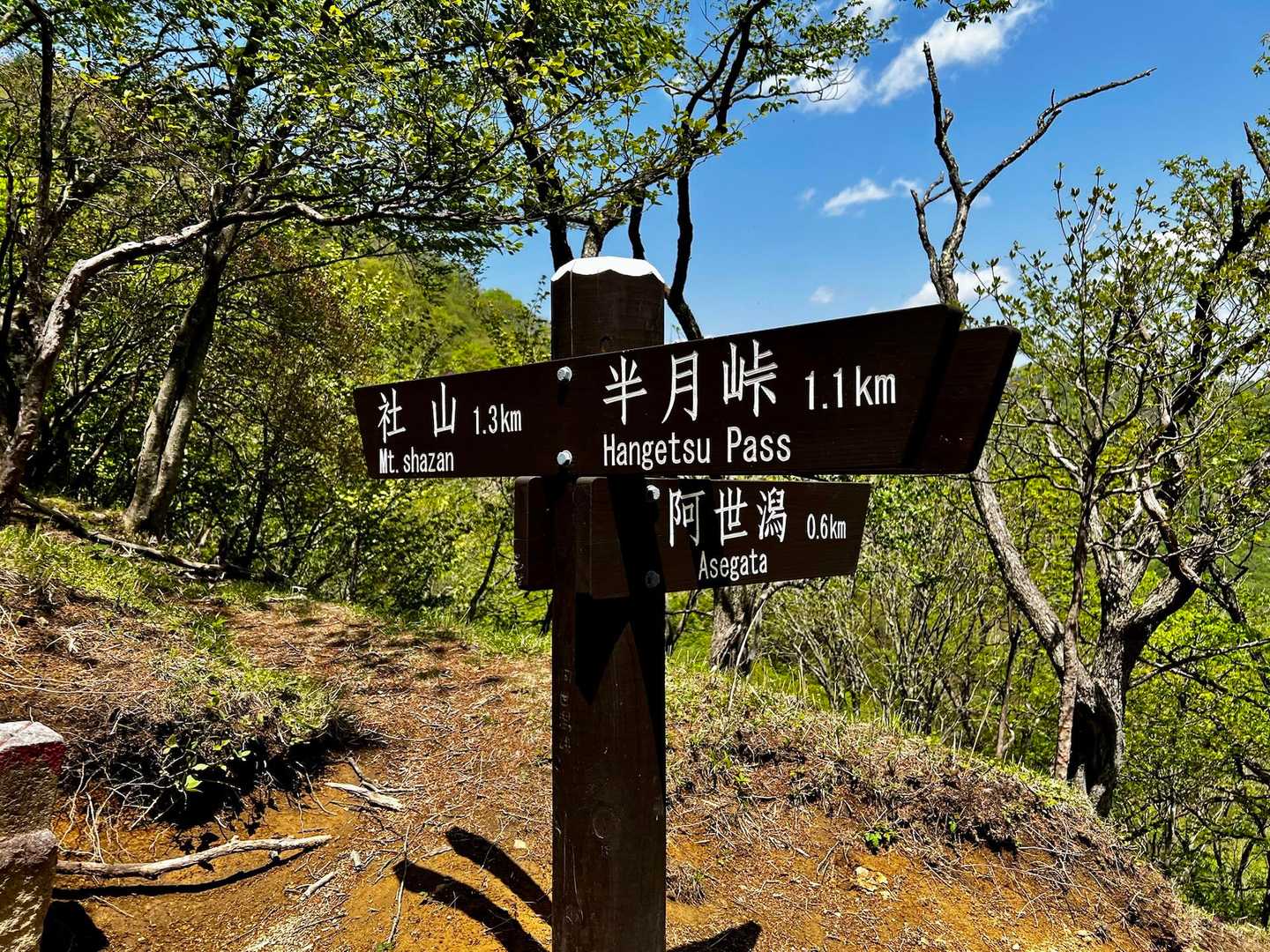 分岐
中禅寺湖へも行ける