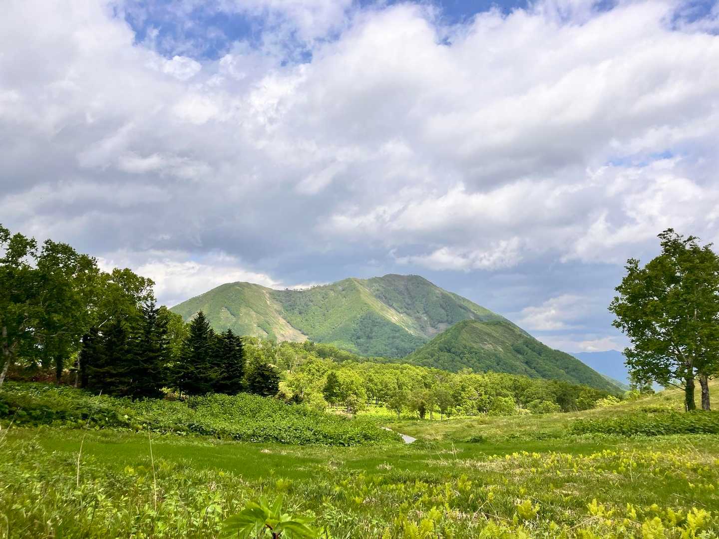 尻別岳登山道入口-橇負山 往復コースの写真