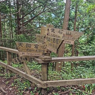 分岐～