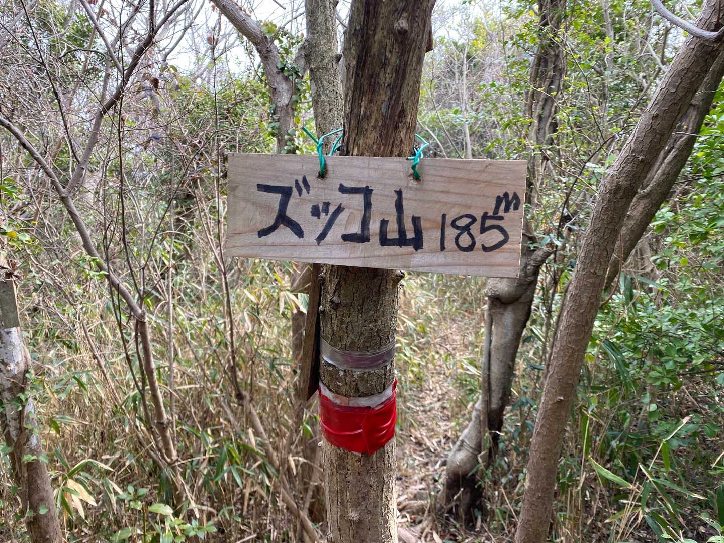 ズッコ山の山頂標識に到着です。