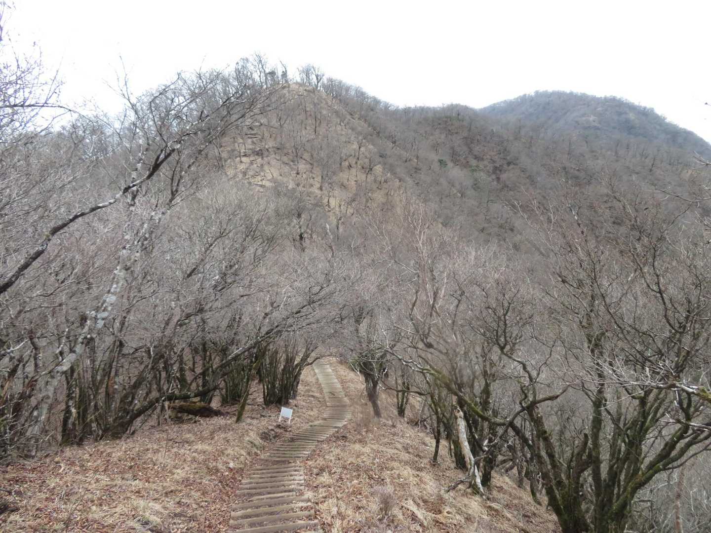 奥が大室山