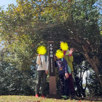 天守台跡に無事着きました！日陰は肌寒いです！