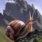 snail224