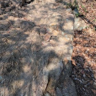 こんなとこもあり🪨