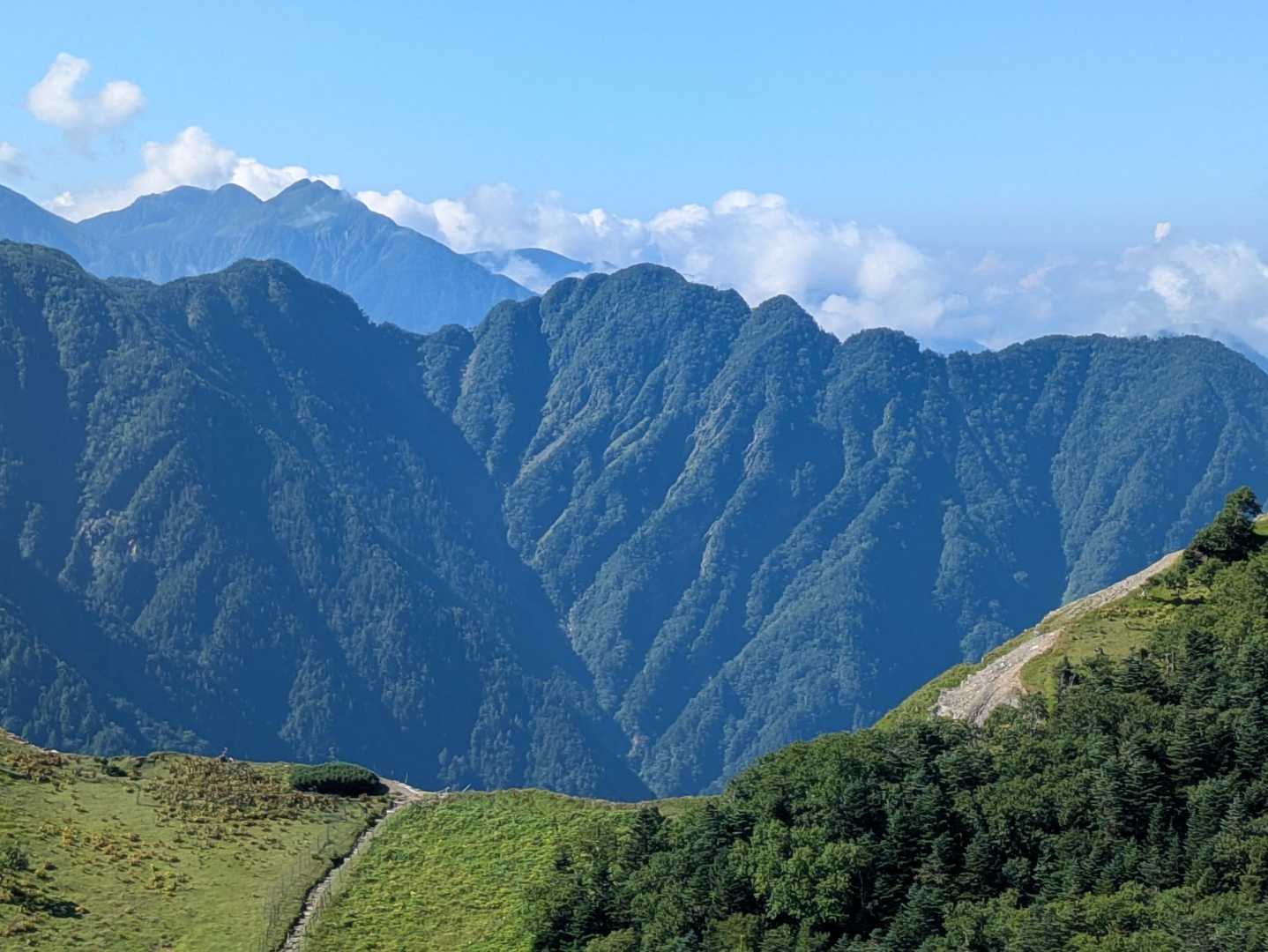 本谷山-三伏山-三伏峠-鳥倉登山口 縦走コースの写真