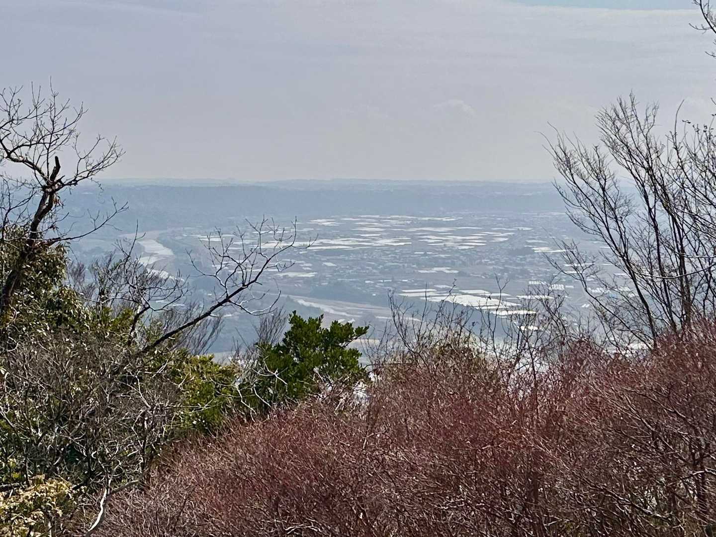 ここまでの登りで、今日は暑くて滝汗です💦
水分補給して、ミツマタ群生地を目指します🌼