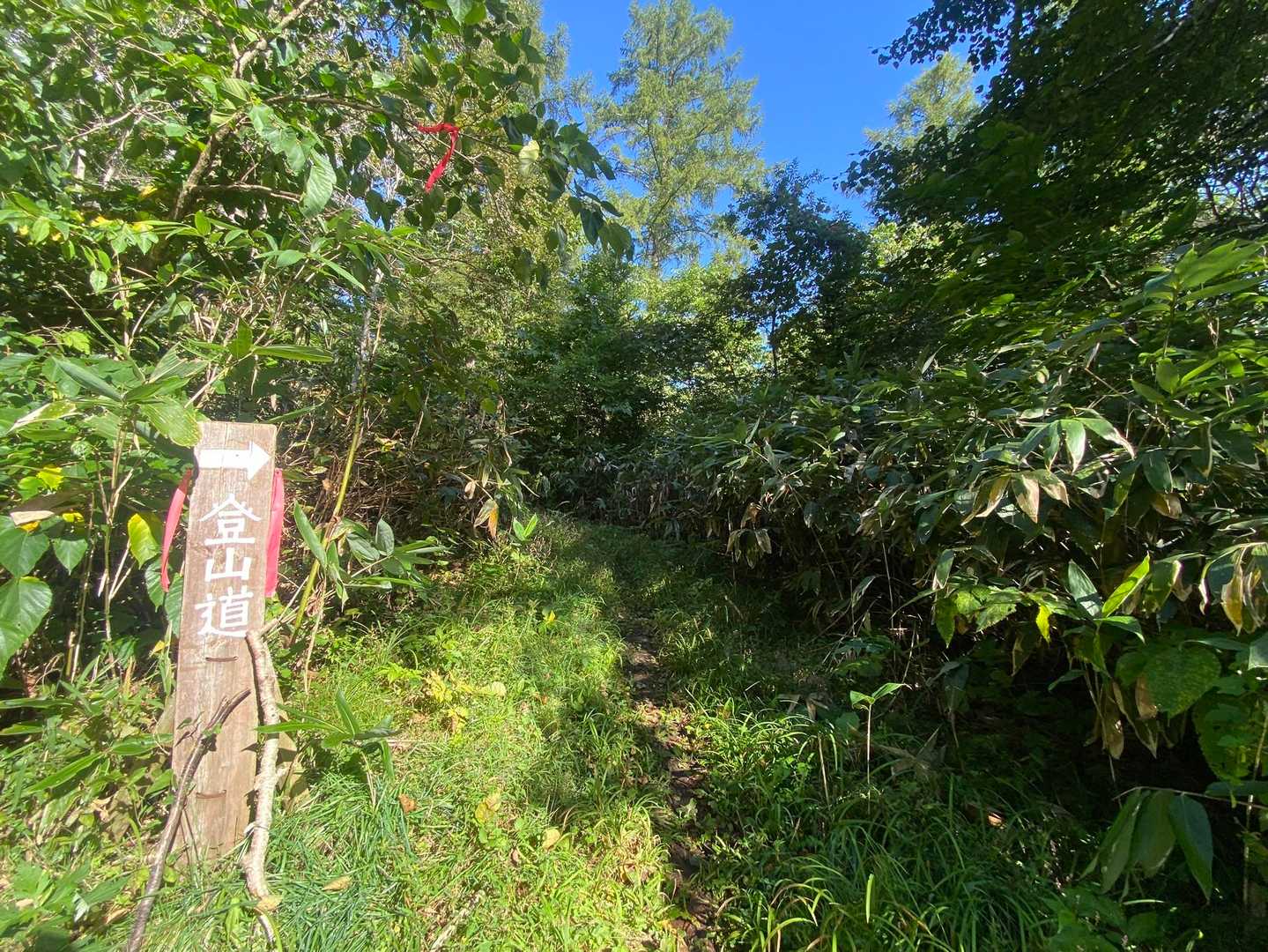 喜茂別登山口-羊蹄山 往復コースの写真
