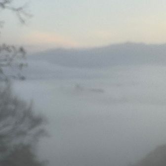 時々、隠れます💦