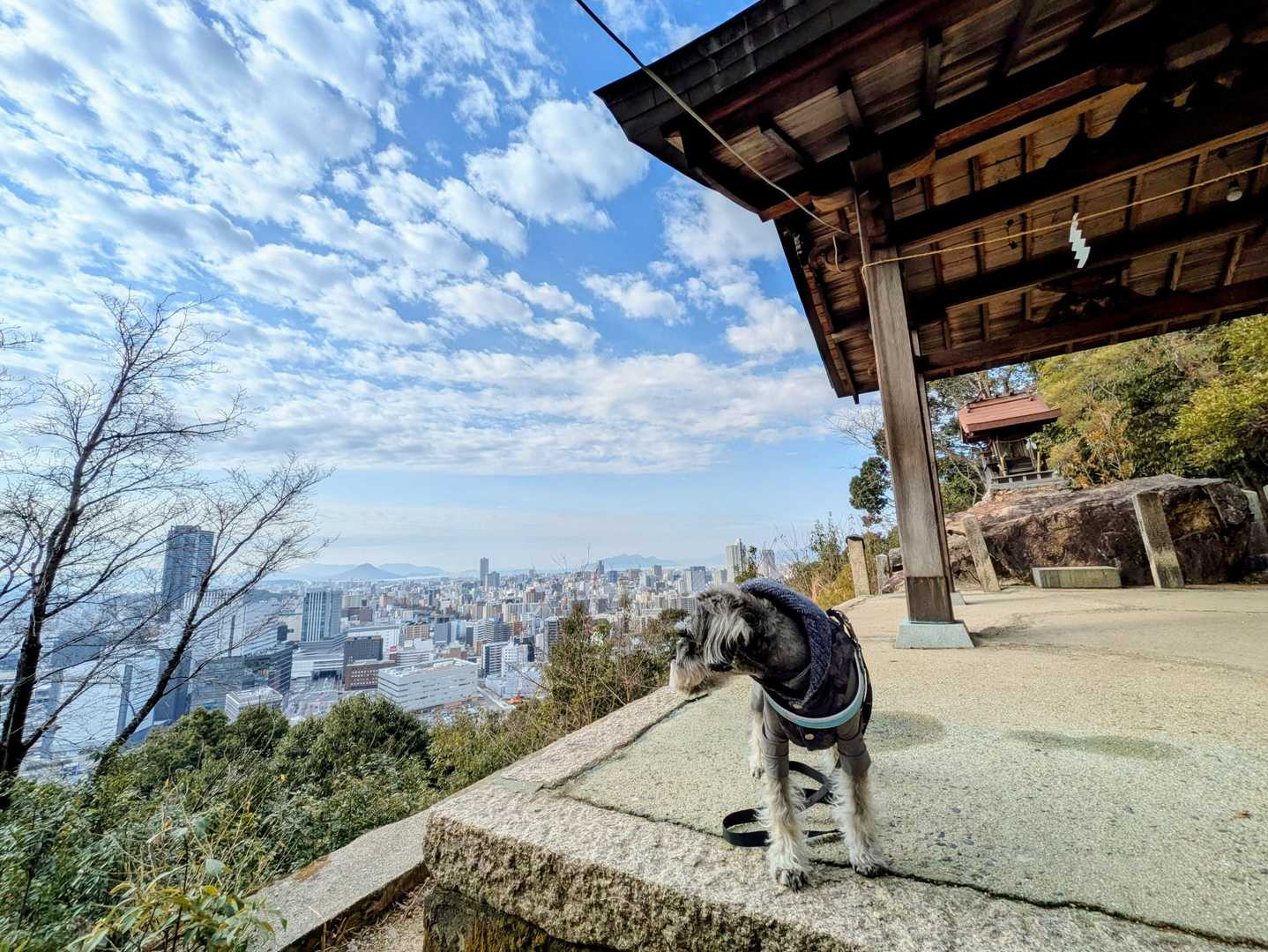 はい、すぐに休憩（笑）
広島市内が一望。