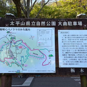 広い駐車場で空いてました