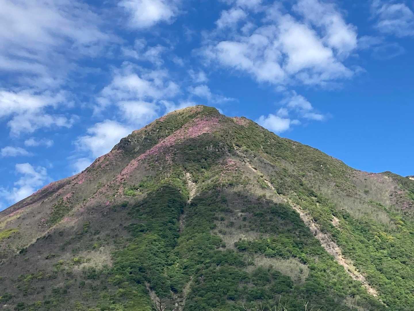 大戸越-平治岳 往復コースの写真