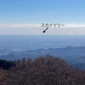 山頂からの眺望。東方面
スカイツリーが見えた