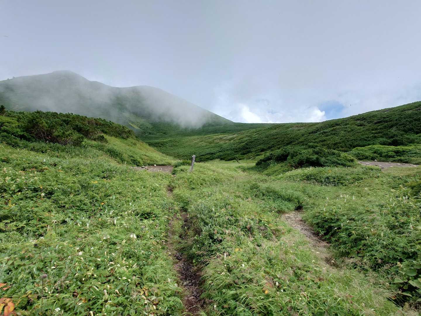 左右に⛺指定地。
土フィールドで石も転がってます