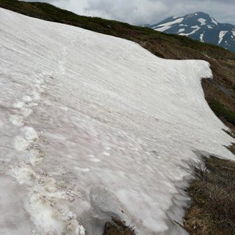 ハクサンコザクラを探しにちょっと寄り道するも、雪渓現れ断念😭