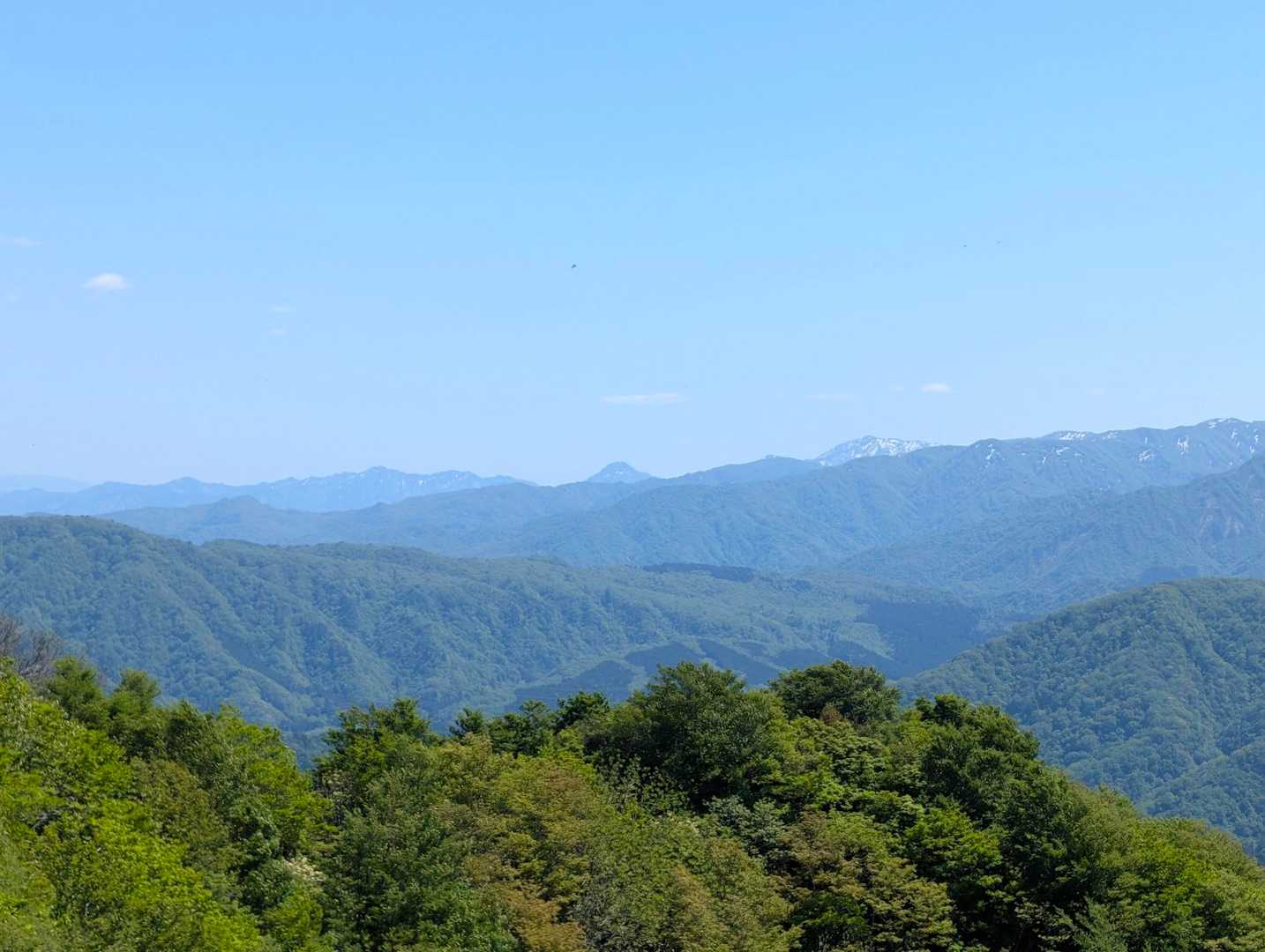 虚空蔵山-宝珠山 往復コースの写真