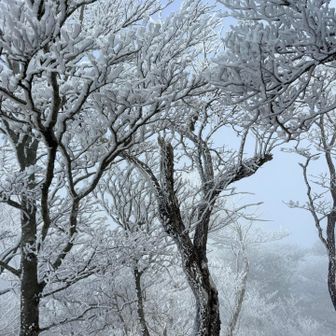 ホントキレイ❄️