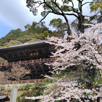 摩尼堂まで戻った
聲明が聞こえてくる