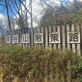 大変気持ちのよい山歩でございました😄