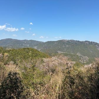 入沢山山頂まで来ました

メイン登山道の分岐（標識なし）を右
結構（といっても3ー5分位？）登った
奥の方にあります

素敵ビューの隠れ場所的な
ベンチとテーブルがあります