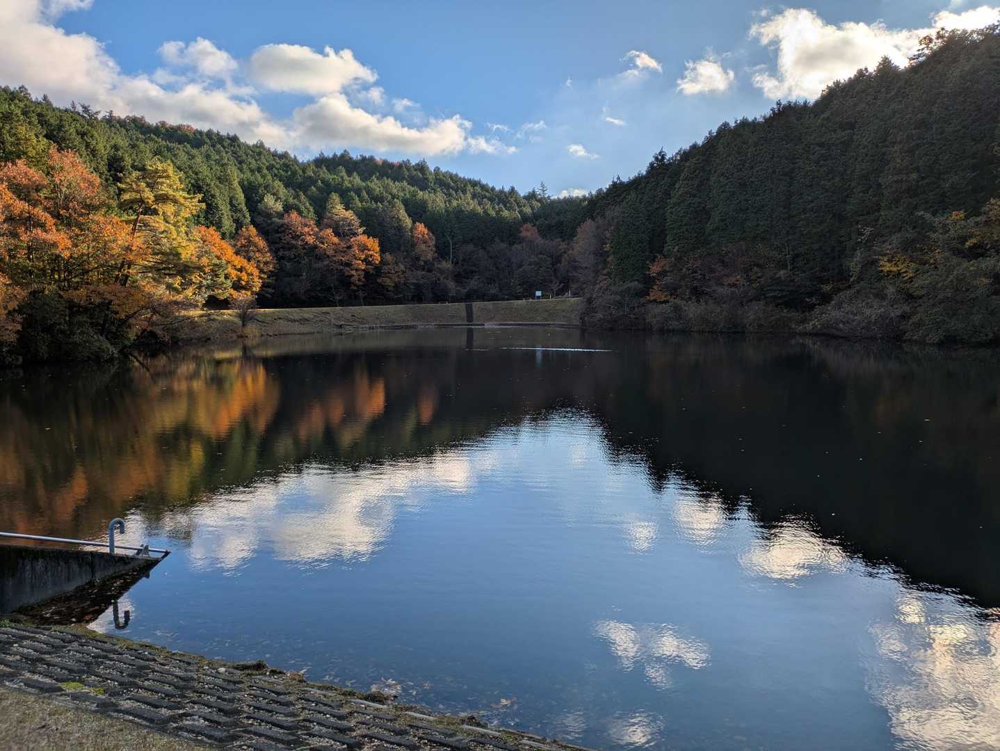 大洞の池