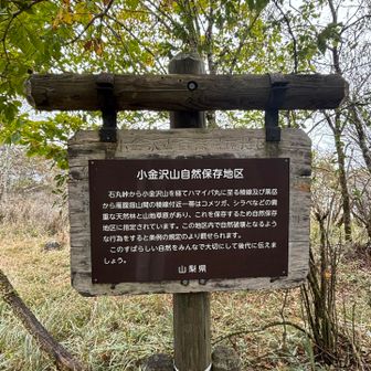 ここから保護地区
柵の扉開け閉め続く