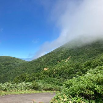 やっと青空が