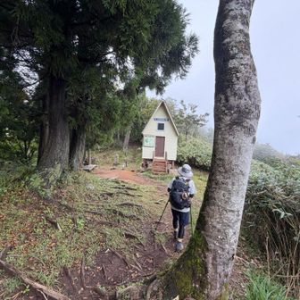 氷ノ山越避難小屋まで降りて来ました