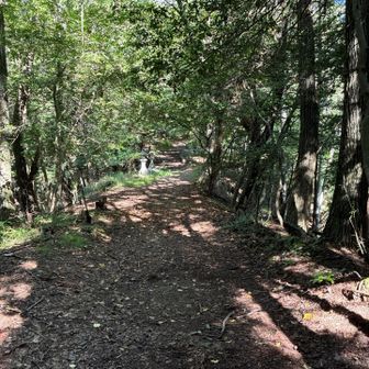 石灯籠。少し傾斜が緩くて助かる