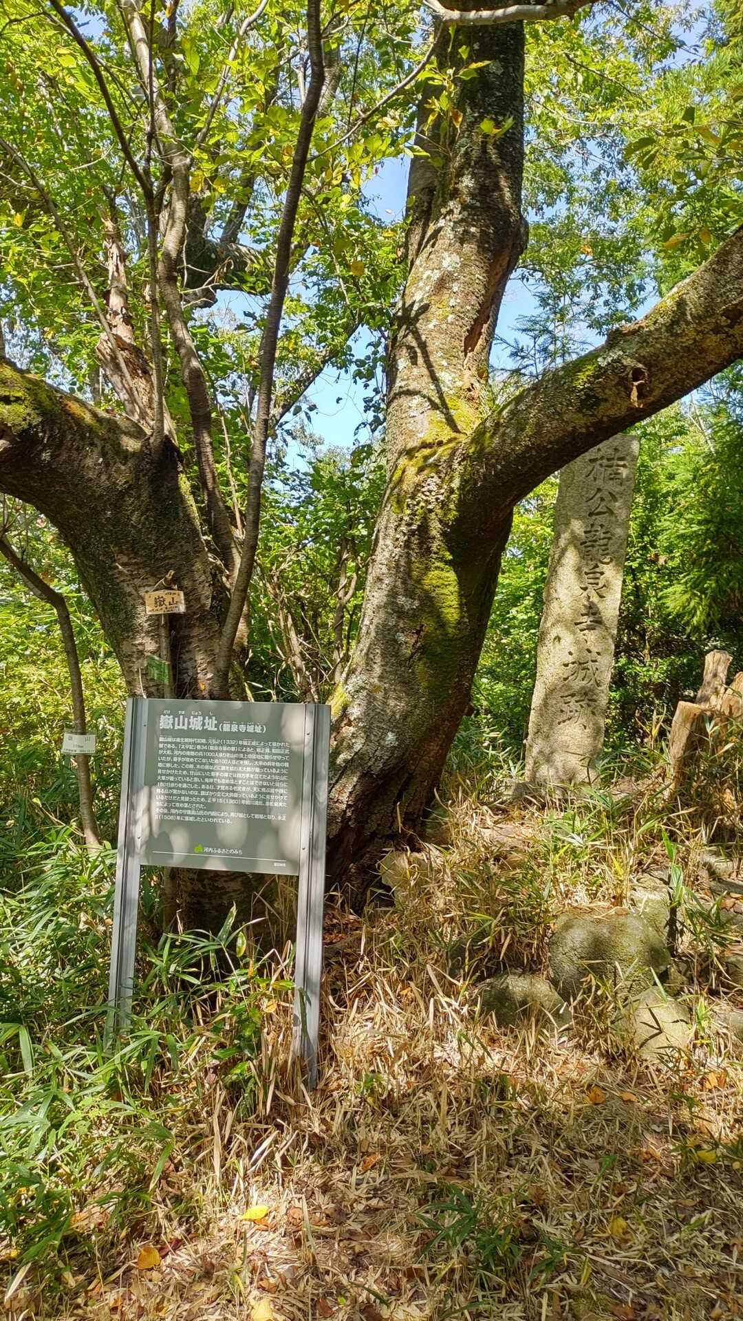 嶽山の写真