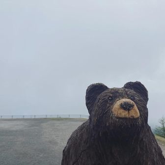 べっくん