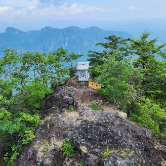 中ノ岳山頂
中ノ岳でエネルギーゼリー完食。
もう、自販機の事で頭がいっぱいでした。