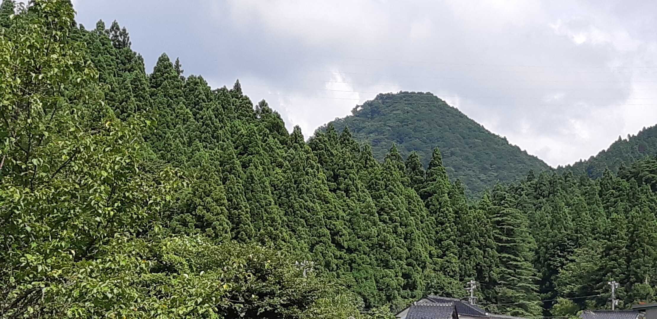 尖山の写真