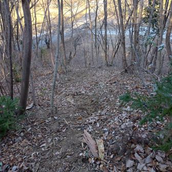 登山口の近くの雑木林は踏跡が不明瞭。