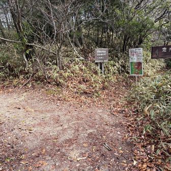 先に進む。分岐は左