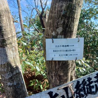 天台ケ峰南峰📸