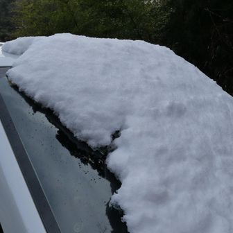駐車場まで下りてくると、屋根に積もっていた雪がきれいにずり落ちてる
ありゃりゃ
今日一日雪を積んで走ろうと思ってたのに