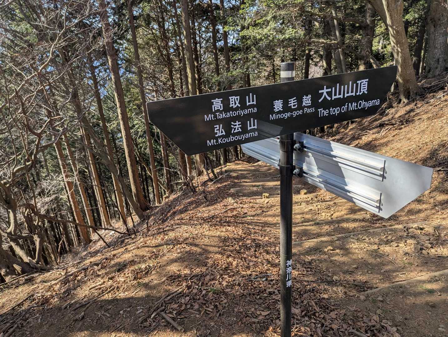 ここからが🥺