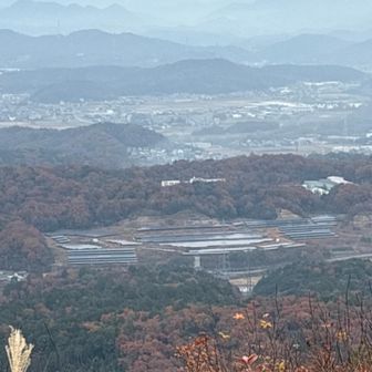 分かる人には分かるかも🫵