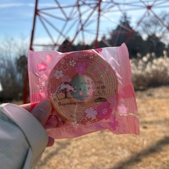 バームクーヘンも🐴い😋