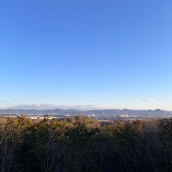 展望台からの景色