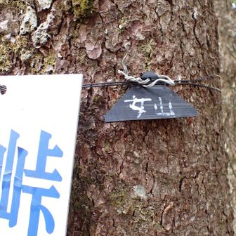 最後のピーク
山頂表示ちっちゃい