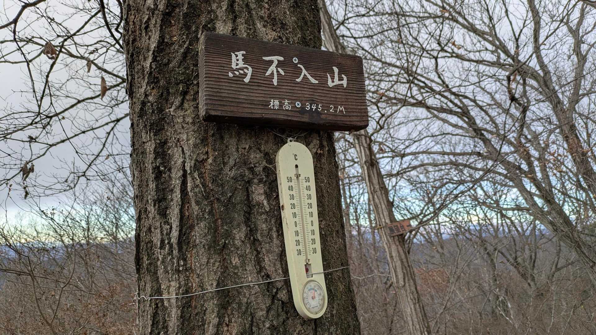馬不入山
今年の干支🐴