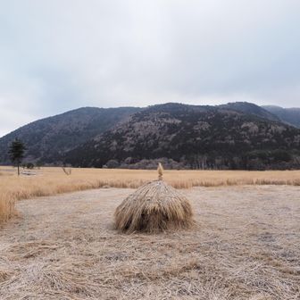 モネのわら積みみたいだ