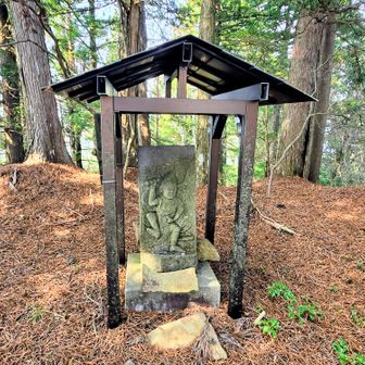 到着
進路を阻むハイノキや馬酔木みたいな木々沢山あった🕸️
ここの雰囲気は良いところなので、行くべき🚶‍♂️